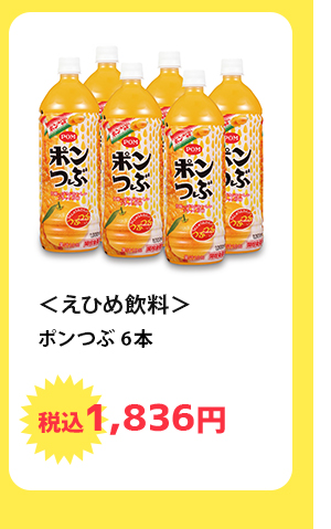 ＜えひめ飲料＞　ポンつぶ　6本　税込1,836円