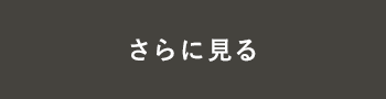 さらに見る